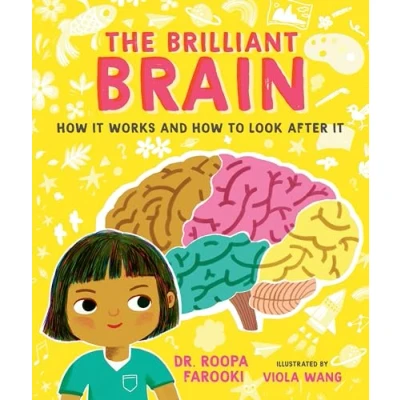 Abbildung von The Brilliant Brain: How It Works and to Look After