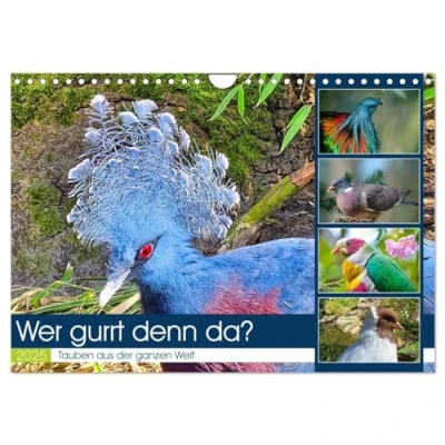 Abbildung von Wer gurrt denn da? (Wandkalender 2025 DIN A4 quer), CALVENDO Monatskalender
