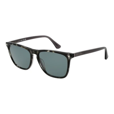 Abbildung von Web Herren WE0363 20V Gläser SONNENBRILLEN Acetat Grau Blau Quadratisch Normal