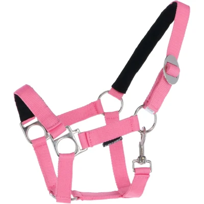 Abbildung von Harry&#039;s Horse Halfter bridoonded Cob Rosa
