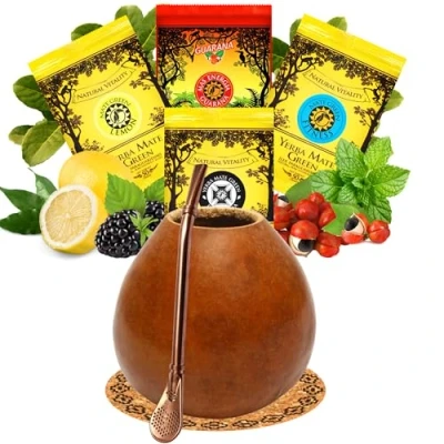 Abbildung von Yerba Mate Tee Set mit natürlicher Kalebasse Pumpkin● Kürbistasse und Strohhalm Edelstahl Bombilla ● Green 4x50g Gourd