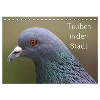 Abbildung von Tauben in der Stadt (Tischkalender 2025 DIN A5 quer), CALVENDO Monatskalender
