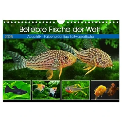 Abbildung von Beliebte Fische der Welt (Wandkalender 2025 DIN A4 quer), CALVENDO Monatskalender
