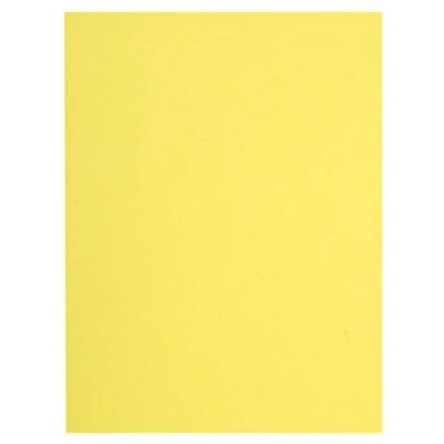 Abbildung von Exacompta 150005E 100er Pack Aktendeckel Forever DIN A4 aus flexiblem Recycling Karton gelb Mappe blauer Engel zertifiziert Einschlagmappe