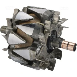 Abbildung von Läufer, Generator HC CARGO 139447