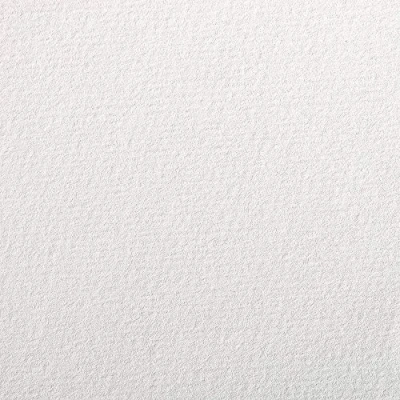 Abbildung von Clairefontaine 90890C Zeichenpapier Papier à grain (160 g, gekörnt, ideal für Trockentechniken, 5 Blatt, DIN A4, 21 x 29,7 cm) weiß