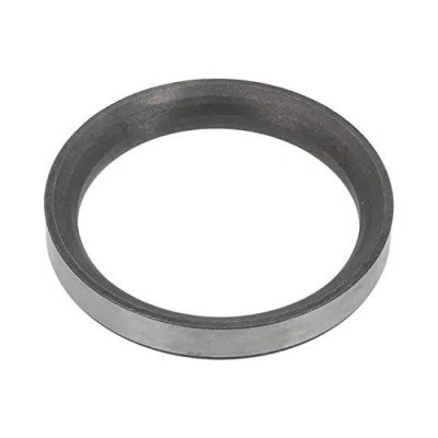 Abbildung von DT Spare Parts 3.12066 Ventilsitzring
