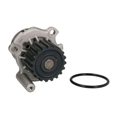 Abbildung von THERMOTEC D1A024TT Wasserpumpe 19 mit Dichtung mechanisch VOLKSWAGEN: Golf 4 Schrägheck, Passat B5 GP Variant, AUDI: A6 C5 Avant