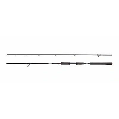 Abbildung von Abu Garcia Beast Pike Spin 2,59m Rute (40 140g) Spinnrute