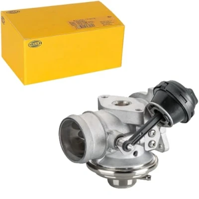 Abbildung von HELLA 6NU 010 171 911 AGR Ventil pneumatisch mit Dichtungen VOLKSWAGEN: Polo IV Schrägheck, SKODA: Octavia 1 Combi, Fabia I Combi