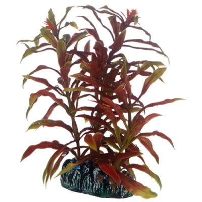 Abbildung von Hobby Aquariendeko Nesaea, künstliche Pflanze 13 cm