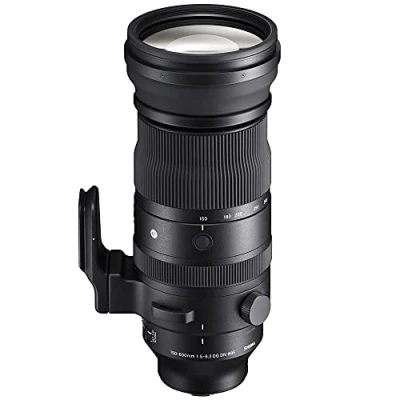 Abbildung von 150 600 mm F5/ 6,3 DG DN für L Mount