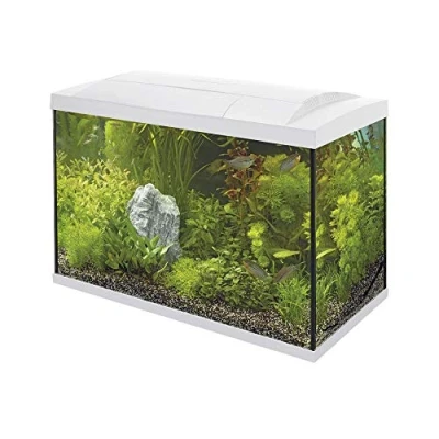 Abbildung von Superfish Aquarium Start 70 Tropical Kit Retro Led 73 l Aquarien W...