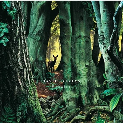 Abbildung von Manafon (2LP) [Vinyl LP]