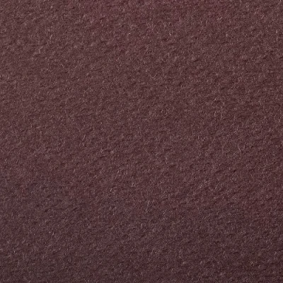 Abbildung von Clairefontaine 93885C Packung (mit 25 Bögen Zeichenpapier Etival Color, DIN A4, 21 x 29,7 cm, 160g, gekörnt, ideal für Trockentechnik und Einrahmen) weinrot