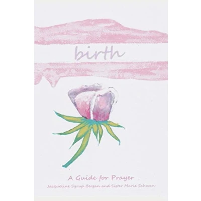 Abbildung von Birth: A Guide for Prayer (Take &amp; Receive Series, Band 3)