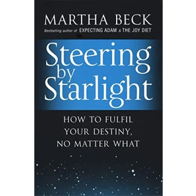 Abbildung von Steering By Starlight: How to fulfil your destiny, no matter what