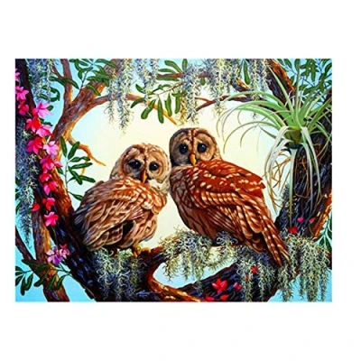 Abbildung von Yingxin34 Puzzle 3000 Teile Zwei Eulen Jigsaw für Erwachsene Kinder 48.03x31.88 Zoll (122 x 81cm)