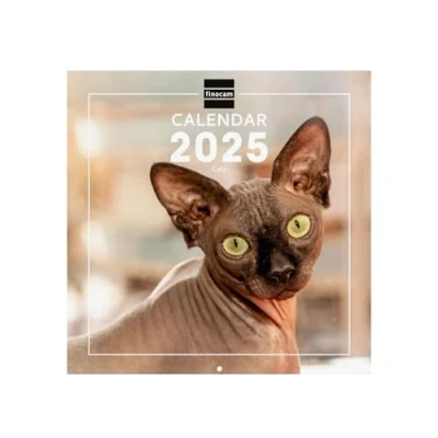 Abbildung von Finocam Bebilderter Wandkalender International 2025 Monatsansicht Januar bis Dezember (12 Monate) Cats
