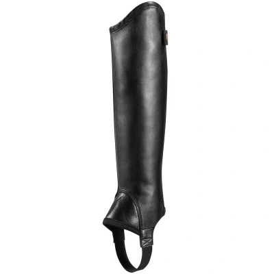 Abbildung von Ariat Concord Minichaps