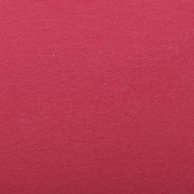Abbildung von Clairefontaine 93861C Packung (mit 25 Bögen Zeichenpapier Etival Color, DIN A4, 21 x 29,7 cm, 160g, gekörnt, ideal für Trockentechnik und Einrahmen) fuchsia