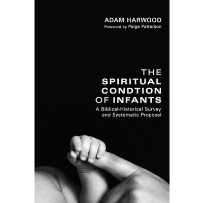 Abbildung von The Spiritual Condition of Infants: A Biblical Historical Survey and Systematic Proposal