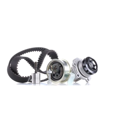 Abbildung von INA 530 0091 31 Wasserpumpe + Zahnriemensatz mit VOLKSWAGEN: Sharan I, Passat B5 GP Variant, Golf 4 Schrägheck, AUDI: A3 Schrägheck