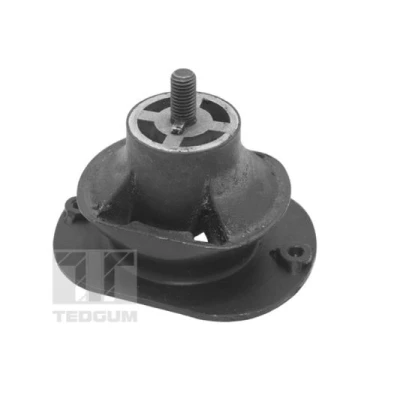 Abbildung von Motorträger TEDGUM TED40521