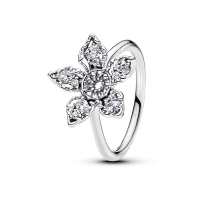 Abbildung von Pandora Damen Ring Silber 193578C01 52