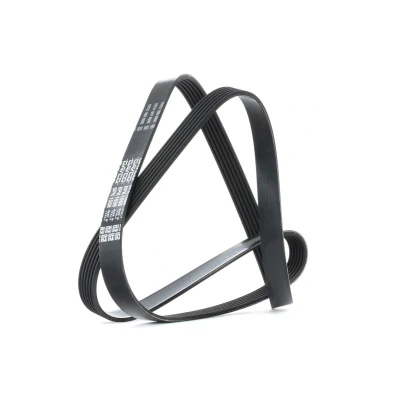 Abbildung von DAYCO 6PK1558 Keilrippenriemen 1558,0 6 BMW: 5 Touring, Limousine, 7, PEUGEOT: 206 Schrägheck, SW, Partner I Combispace