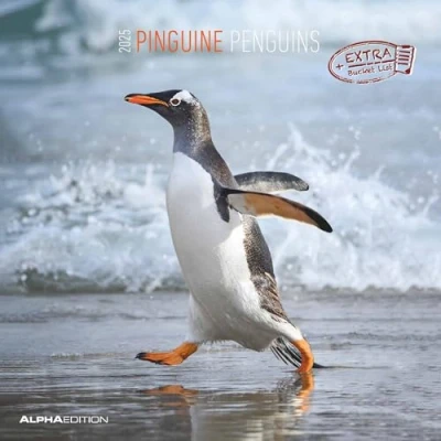Abbildung von Alpha Edition Pinguine 2025 Broschürenkalender, 30x30cm, Wandkalender mit Platz für Notizen und Termine, Motive von süßen Pinguinen, Monatsübersicht Ferientermine DE/AT/CH
