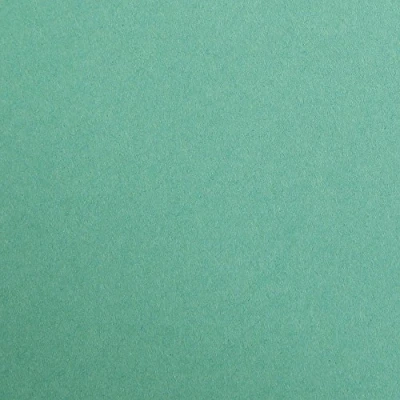 Abbildung von Clairefontaine 97151C Tonzeichenpapier Pack, 25 Bögen Premium, 50 x 70 cm, 120 g, tannengrün
