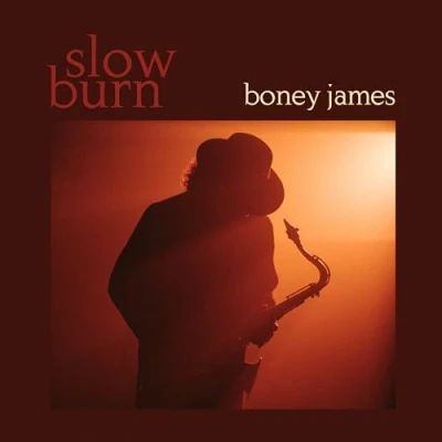 Abbildung von Slow Burn[LP] [Vinyl LP]
