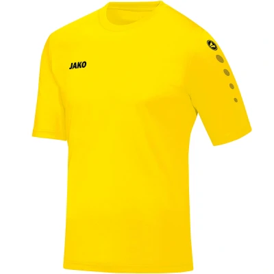 Abbildung von JAKO Team KA Trikot gelbschwarz, S Herren