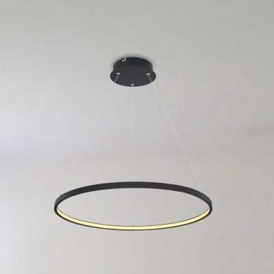 Abbildung von Lighting RALPH Hängeleuchte Metall schwarz matt, LED