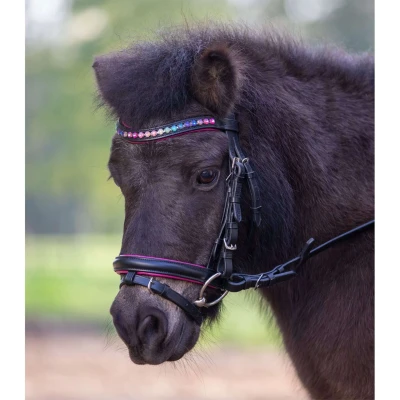 Abbildung von Star Trense Pinky Englisch Kombiniert Schwarz Shetland