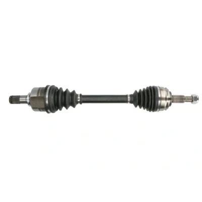 Abbildung von Antriebswelle PASCAL G2R190PC