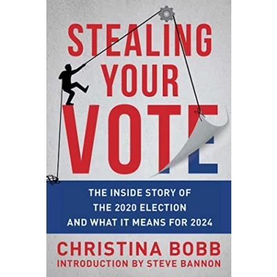 Abbildung von Stealing Your Vote: the Inside Story of 2020 Election and What It Means for 2024