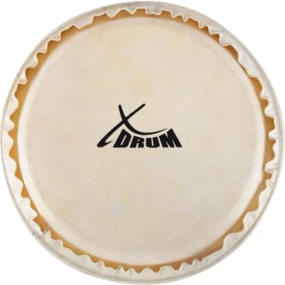 Abbildung von XDrum Bongo Fell 7,5&quot; Natur für Trommel Durchmesser: 7,5 Zoll