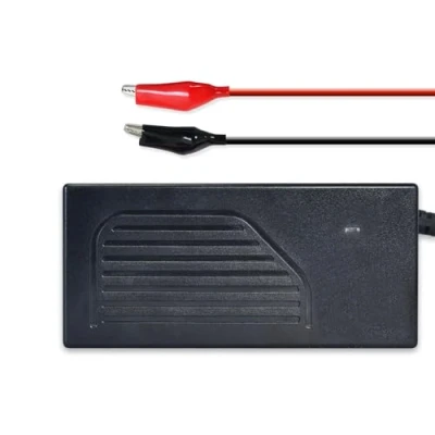 Abbildung von DCHOUSE 4A 12V intelligentes automatisches Lithium Batterieladegerät, speziell für 12,8 V LiFePO4 Batterien entwickelt