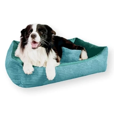 Abbildung von 4L Textil Molly Kuscheliges Cord Hundebett mittelgroße Hunde Hundekorb aus Hundekörbchen Hundesofa Türkis (80x60 cm, Türkis)