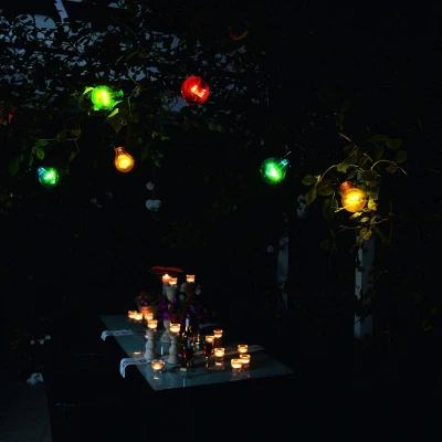 Abbildung von Lichterkette Biergarten 20 bunte LED Birnen