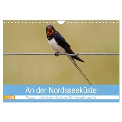 Abbildung von An der Nordseeküste Wasser und Küstenvögel fotografiert von Ostfriesenfotografie (Wandkalender 2025 DIN A4 quer), CALVENDO Monatskalender