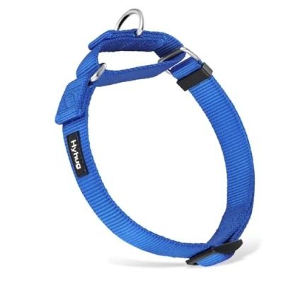Abbildung von Hyhug langlebiges Nylon Erstickungshalsband, geeignet für den täglichen Gebrauch und das Training von kleinen, mittleren großen Hunden (Klein, Hellblau)