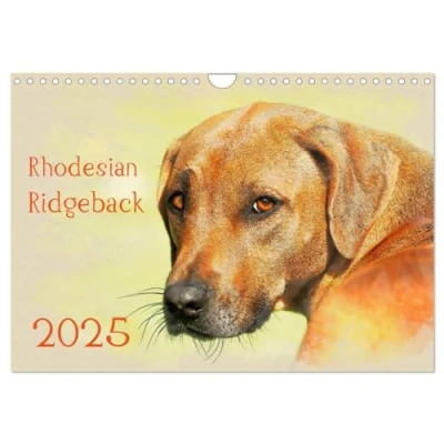 Abbildung von Rhodesian Ridgeback 2025 (Wandkalender DIN A4 quer), CALVENDO Monatskalender