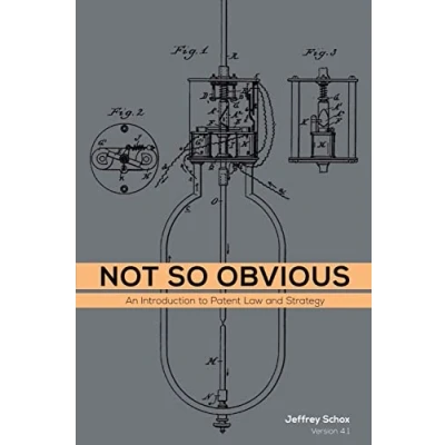 Abbildung von Not So Obvious: An Introduction to Patent Law and Strategy