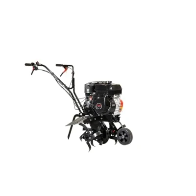 Abbildung von AL KO MH 540 Motor:196 CCM