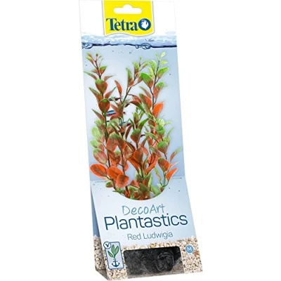 Abbildung von Pflanze TETRA Red Ludwigia M.