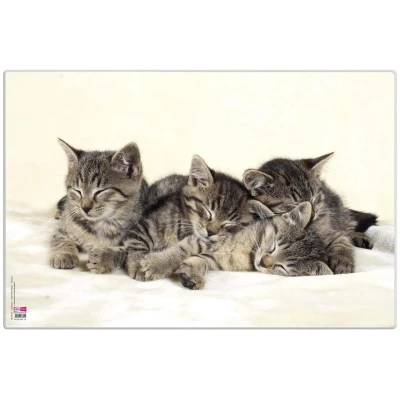 Abbildung von VELOFLEX 4650098 Schreibtischunterlage Katzen, 35 x 50 cm, rutschfest, abwischbar, mit transparenter Antireflex Schutzfolie, Schreibtischauflage, Malunterlage, Bastelunterlage
