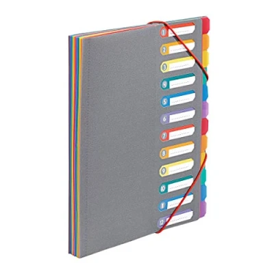 Abbildung von Viquel Ordnungsmappe A4 mit 12 Fächern ausziehbarer Schreibtisch Organizer Dokumentenmappe Index Verschluss durch Gummiband Rainbow Touch Grau